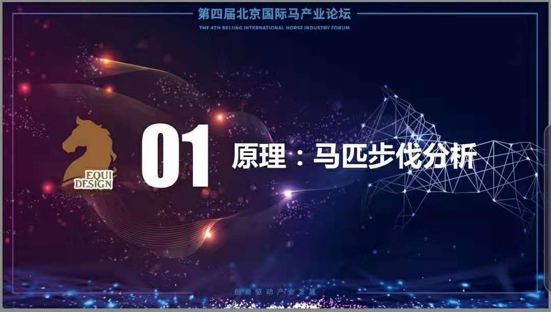 2024澳门特马今晚开什么,探索澳门特马，未来之星的神秘面纱